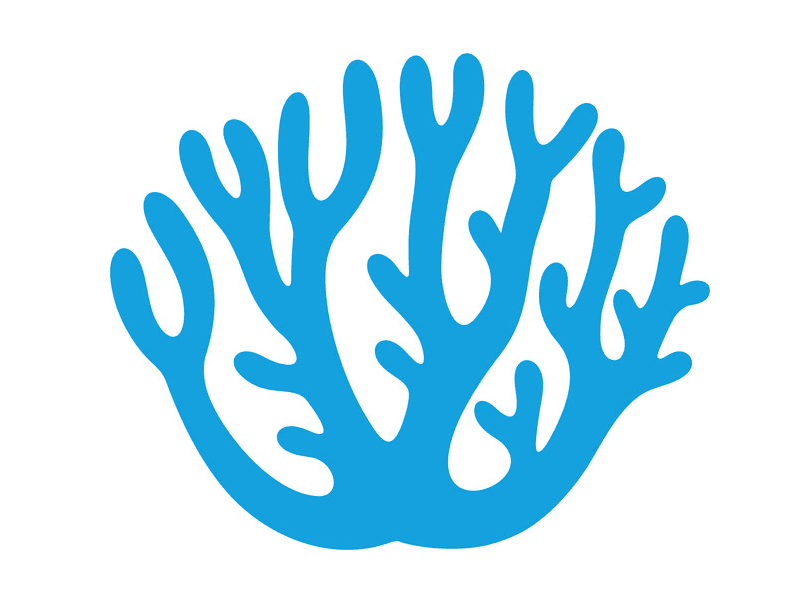 Coral Clipart Png Photos