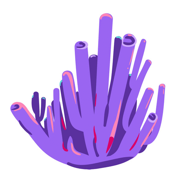 Coral Clipart Png Picture