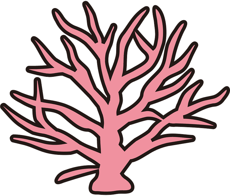 Coral Clipart Transparent Free