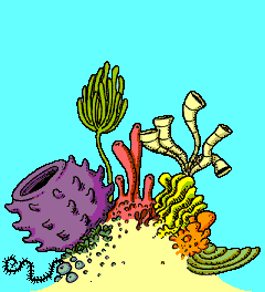 Coral Reef Clipart For Free
