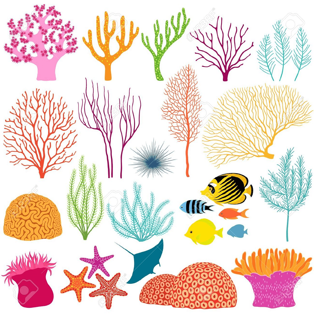 Coral Reef Clipart Image
