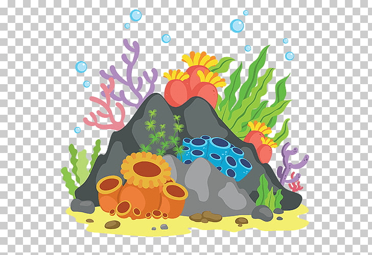 Coral Reef Clipart Photo