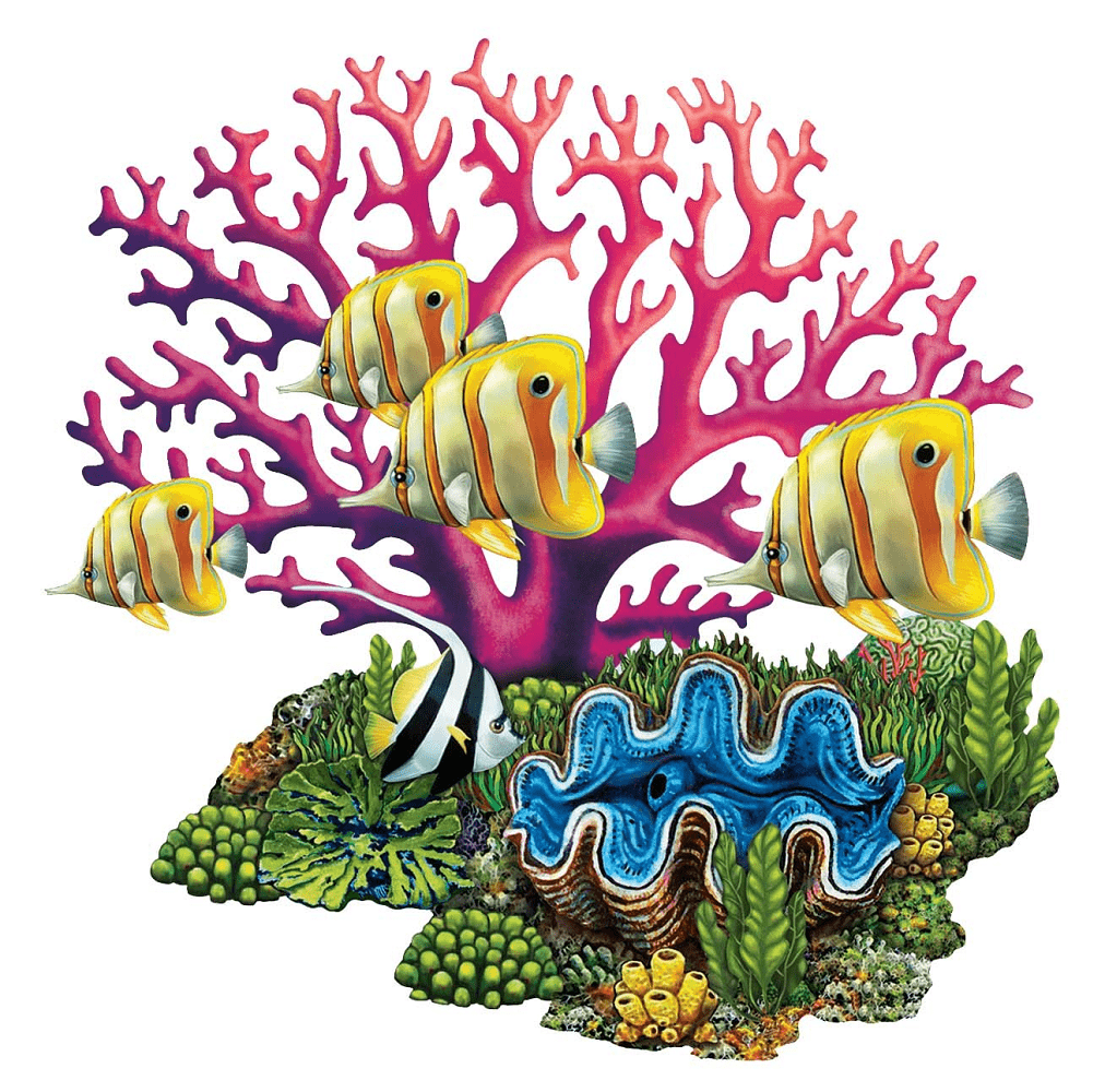 Coral Reef Clipart Photos