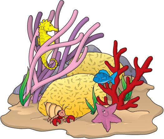Coral Clipart