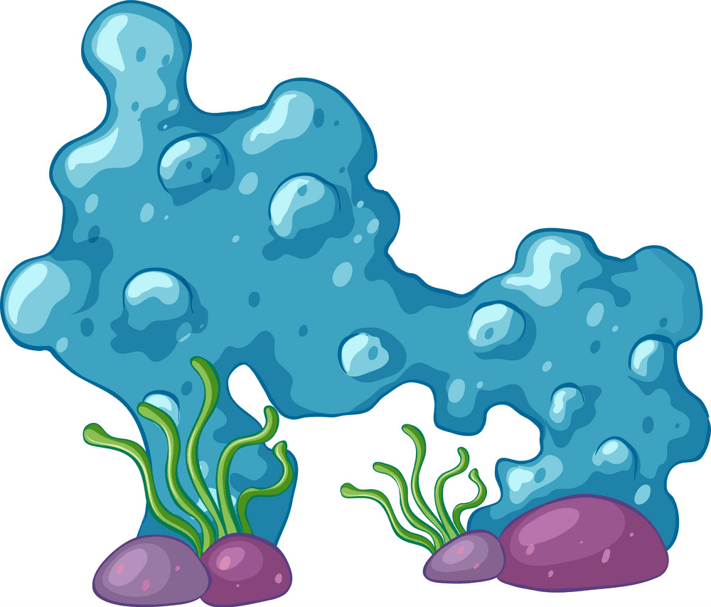 Coral Reef Clipart Png Image