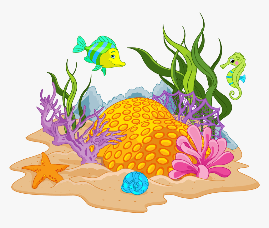 Coral Reef Clipart Png Images