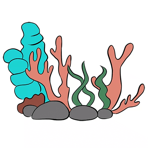 Coral Reef Clipart Png Photo