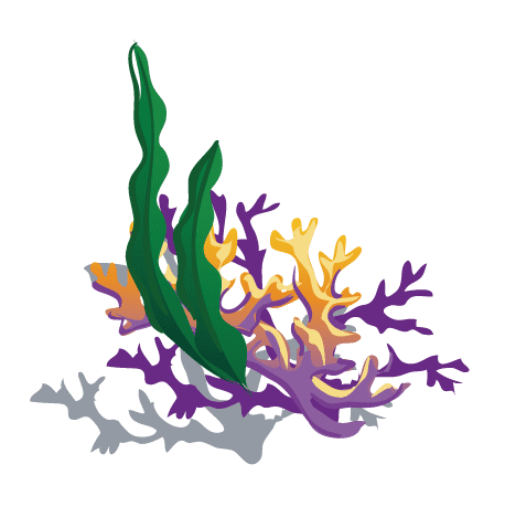 Coral Reef Clipart Png Photos