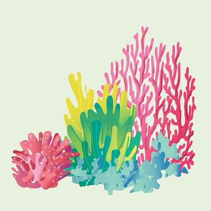 Coral Reef Clipart Png Pictures