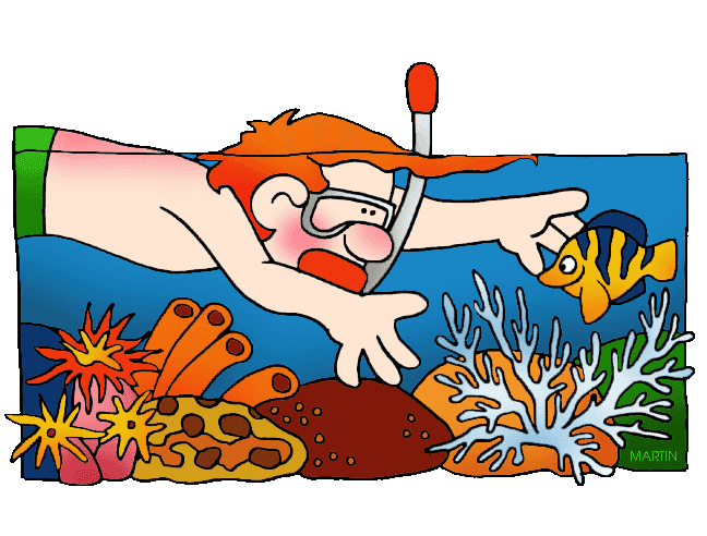 Coral Reef Clipart Png