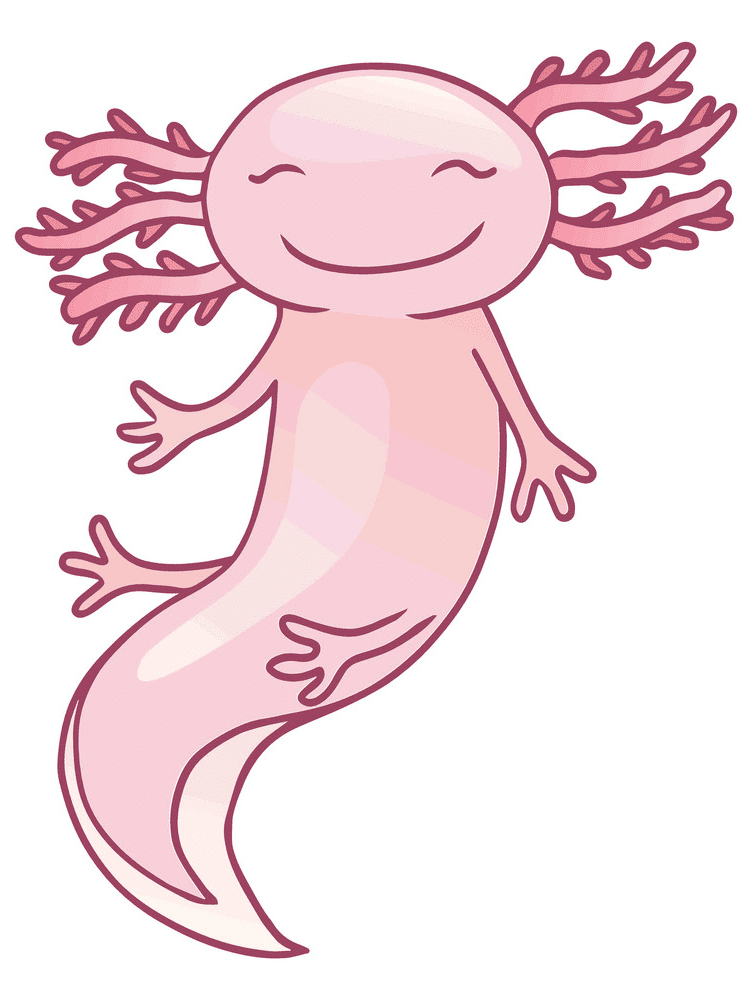 Cute Axolotl Clipart Images