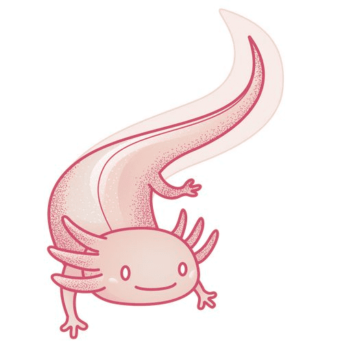 Cute Axolotl Clipart Png