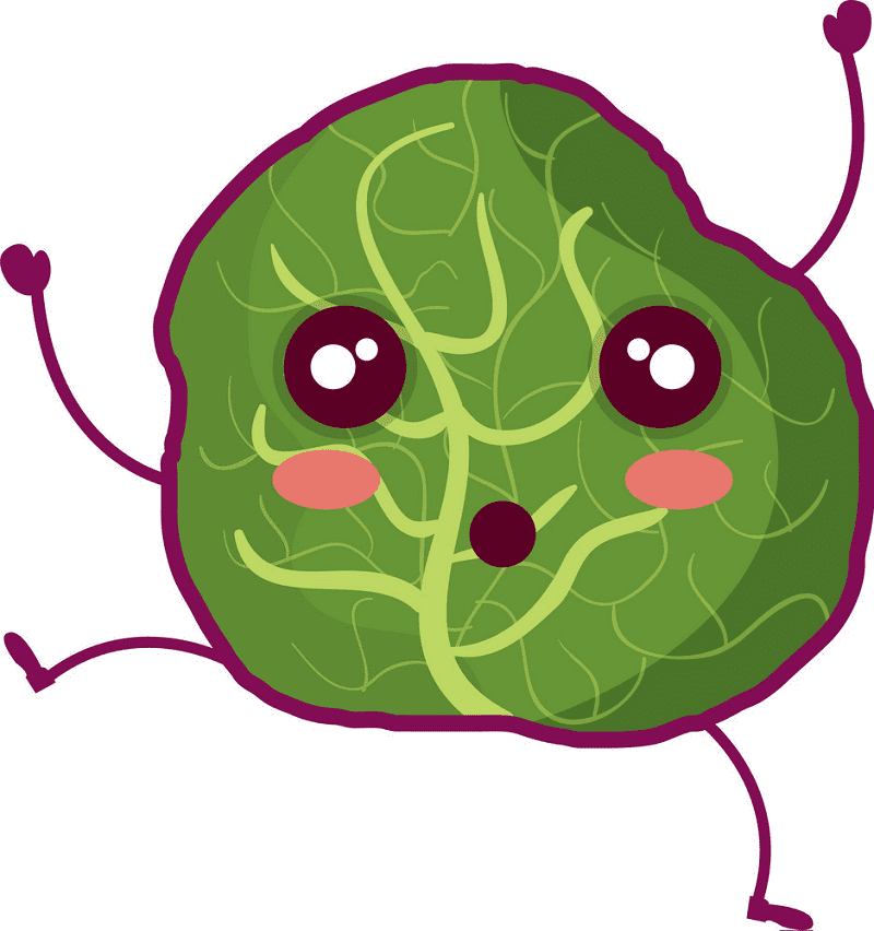 Cute Lettuce Clipart Free