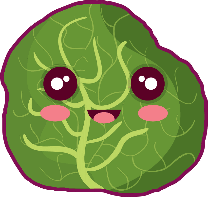 Cute Lettuce Clipart Png