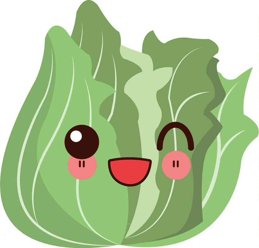 Cute Lettuce Clipart