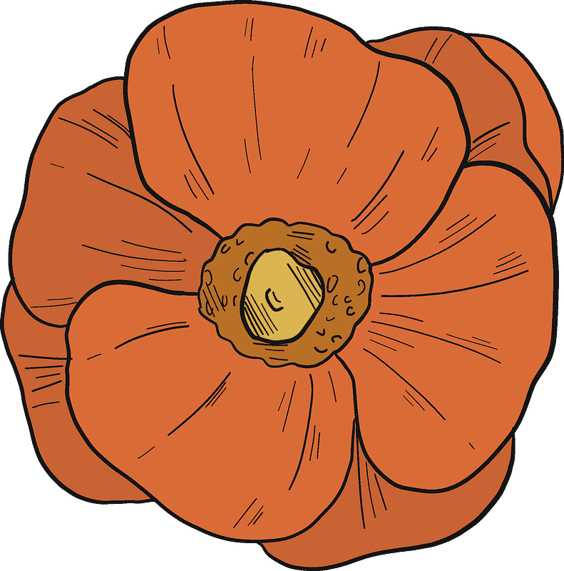 Download Poppy Clipart Transparent Background