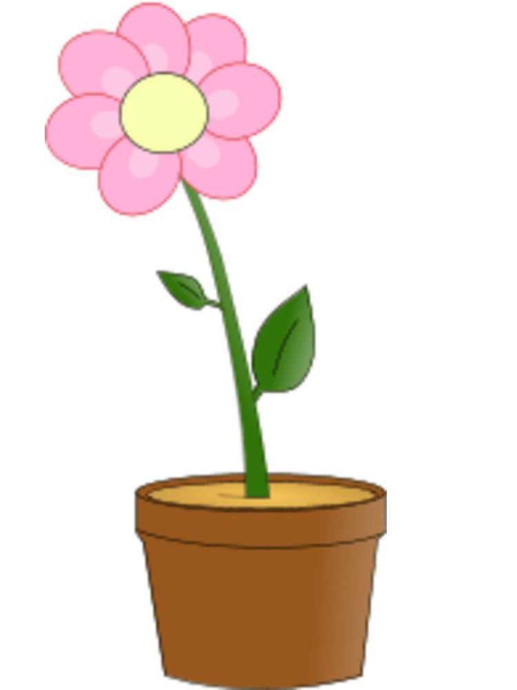 Flower Pot Clipart Picture