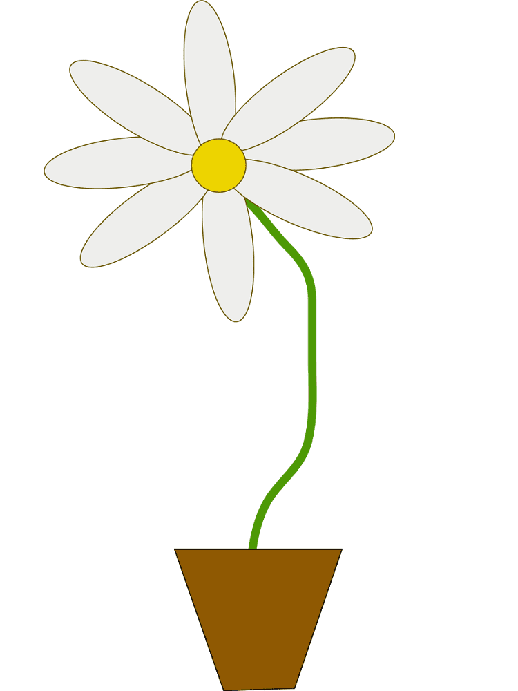 Flower Pot Clipart Png Image
