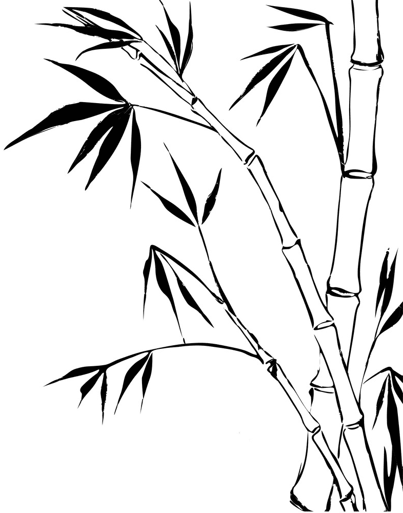 Free Bamboo Clipart Black and White