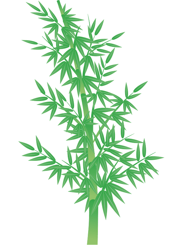 Free Bamboo Clipart Transparent Background