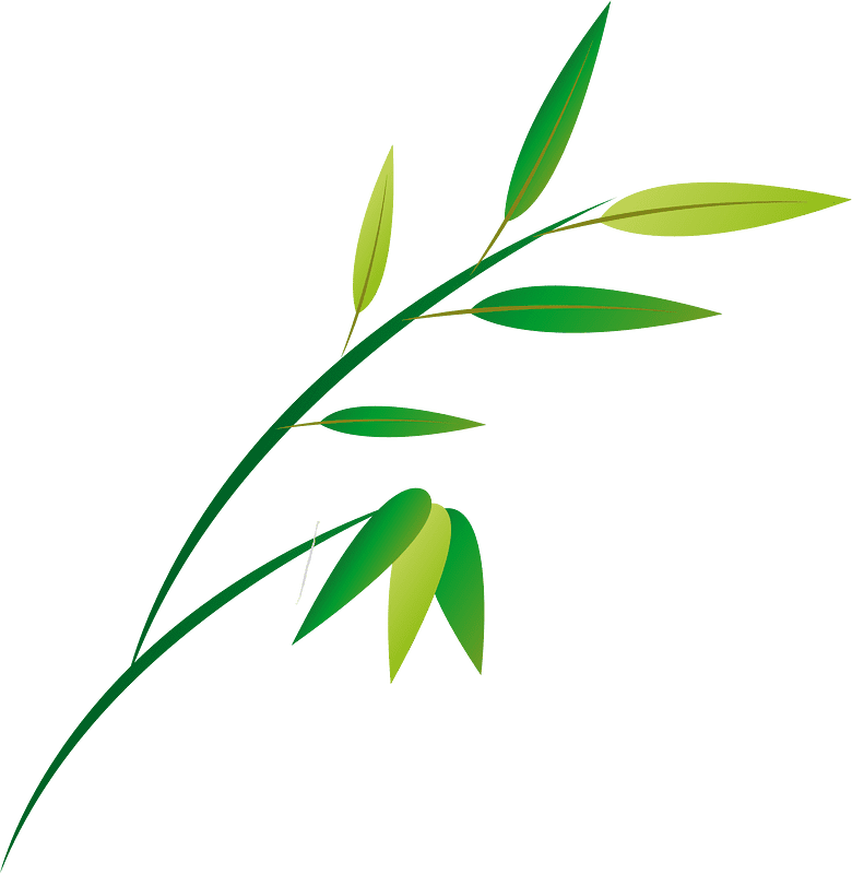 Free Bamboo Clipart Transparent