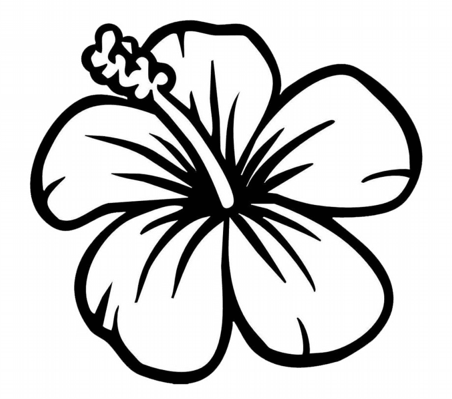 Free Hibiscus Clipart Black and White