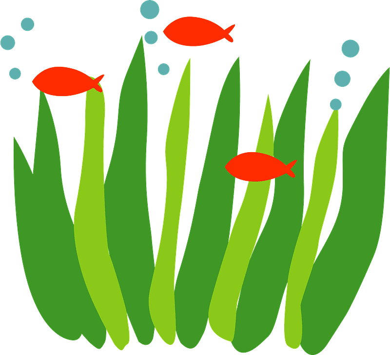 Free Seaweed Transparent Clipart