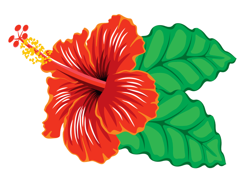 Hibiscus Clipart For Free