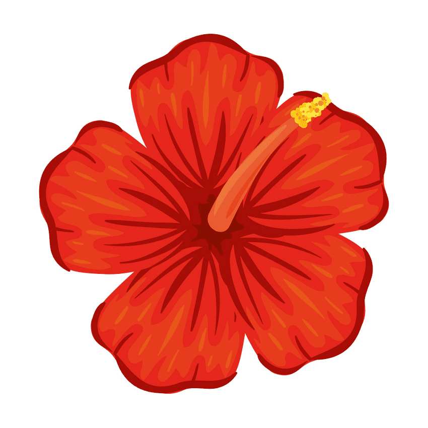 Hibiscus Clipart Free Pictures