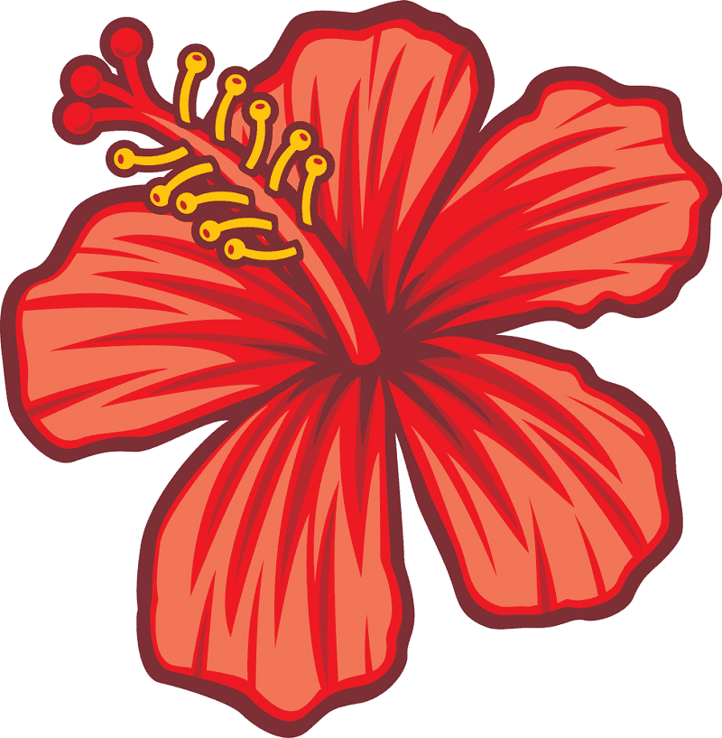 Hibiscus Clipart Png For Free