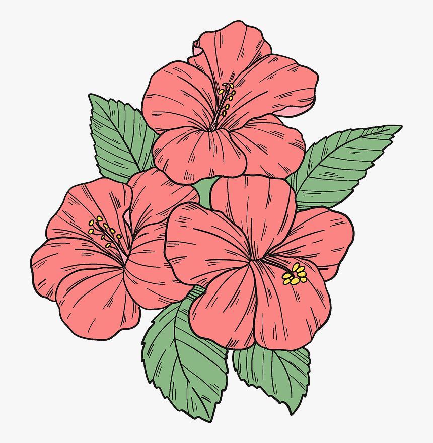 Hibiscus Clipart Png Free