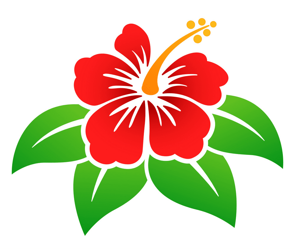 Hibiscus Clipart Png Image