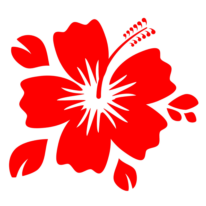 Hibiscus Clipart Png Pictures