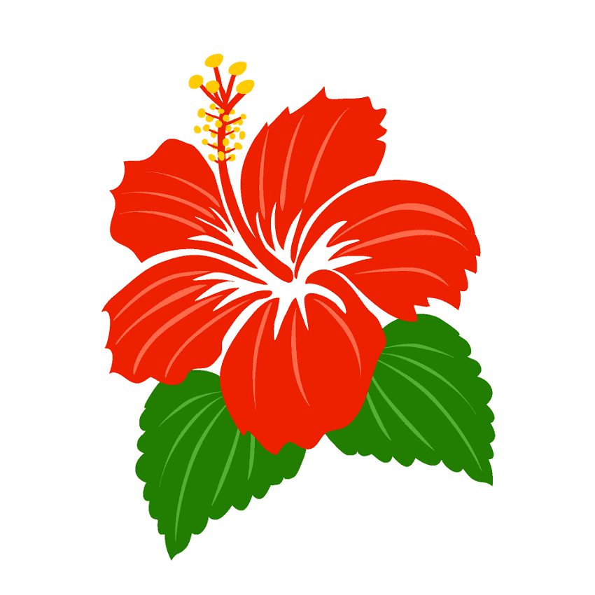 Hibiscus Clipart Png