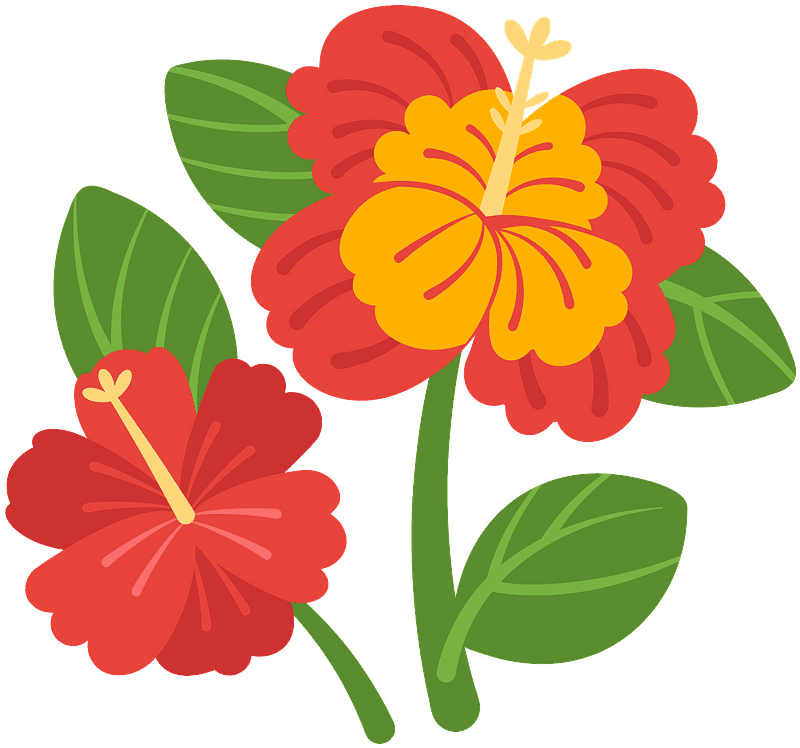 Hibiscus Clipart Transparent Png