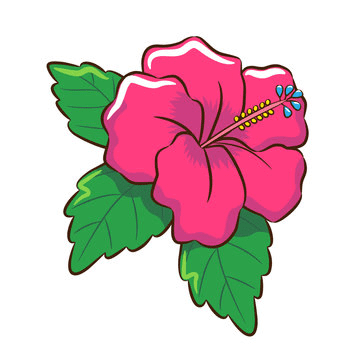 Hibiscus Flower Clipart For Free
