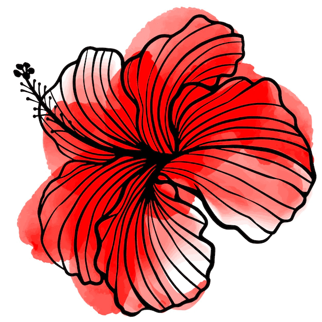 Hibiscus Flower Clipart Images