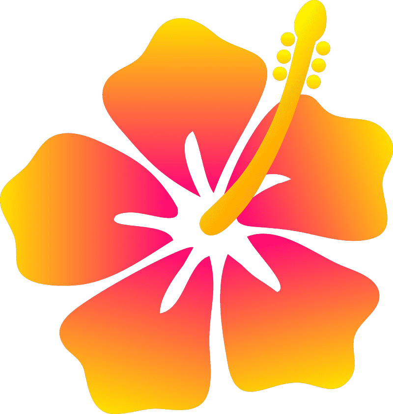 Hibiscus Flower Clipart Png For Free