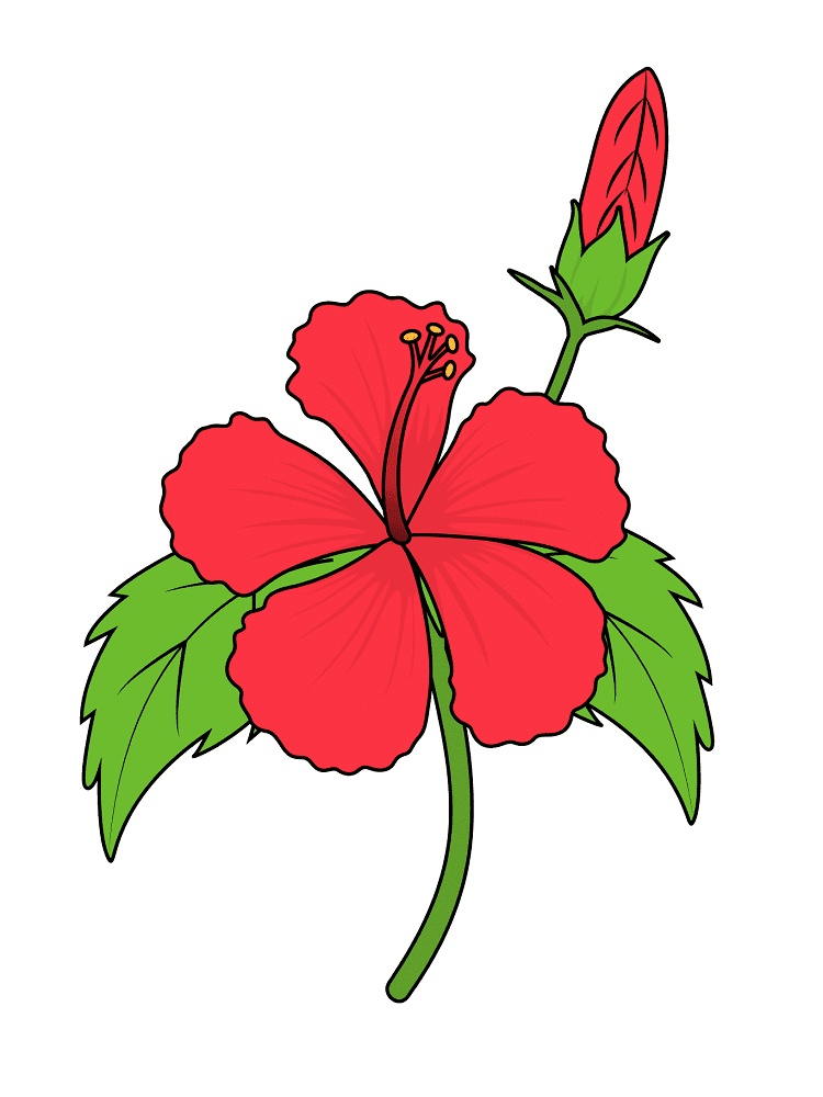 Hibiscus Flower Clipart Png Free