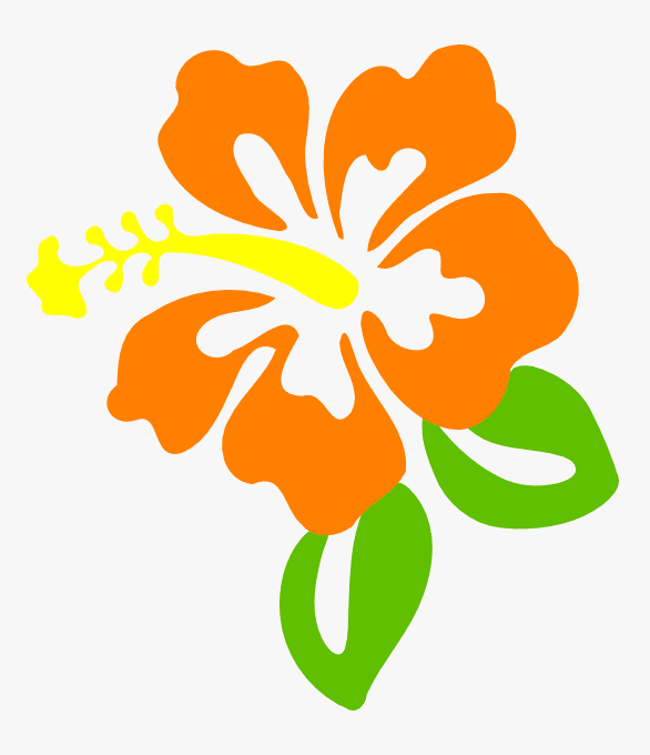 Hibiscus Flower Clipart Png Picture