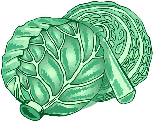 Lettuce Clipart Free Images