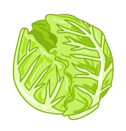 Lettuce Clipart Png Image