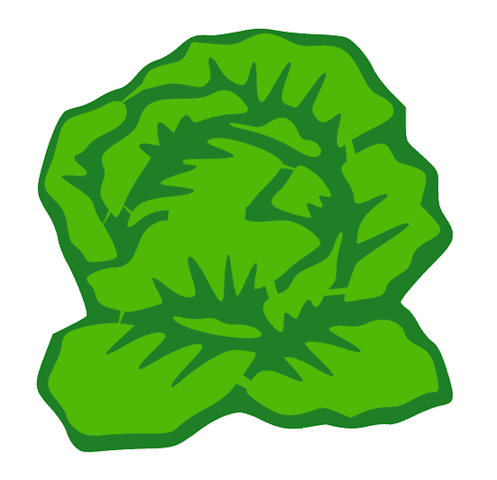Lettuce Clipart Png Pictures