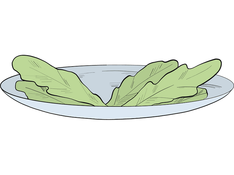 Lettuce Clipart Transparent Download