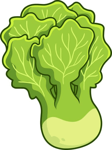 Lettuce Free Clipart