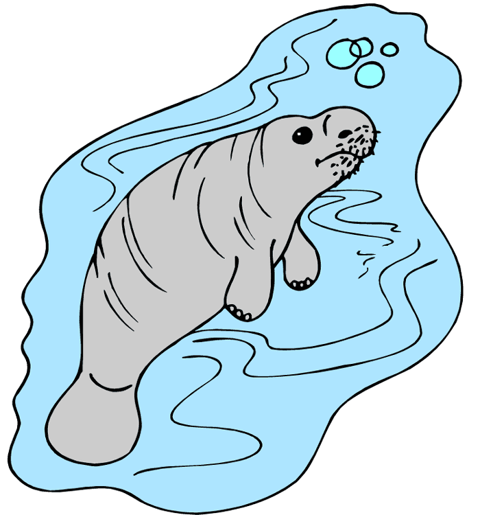 Manatee Clipart Download