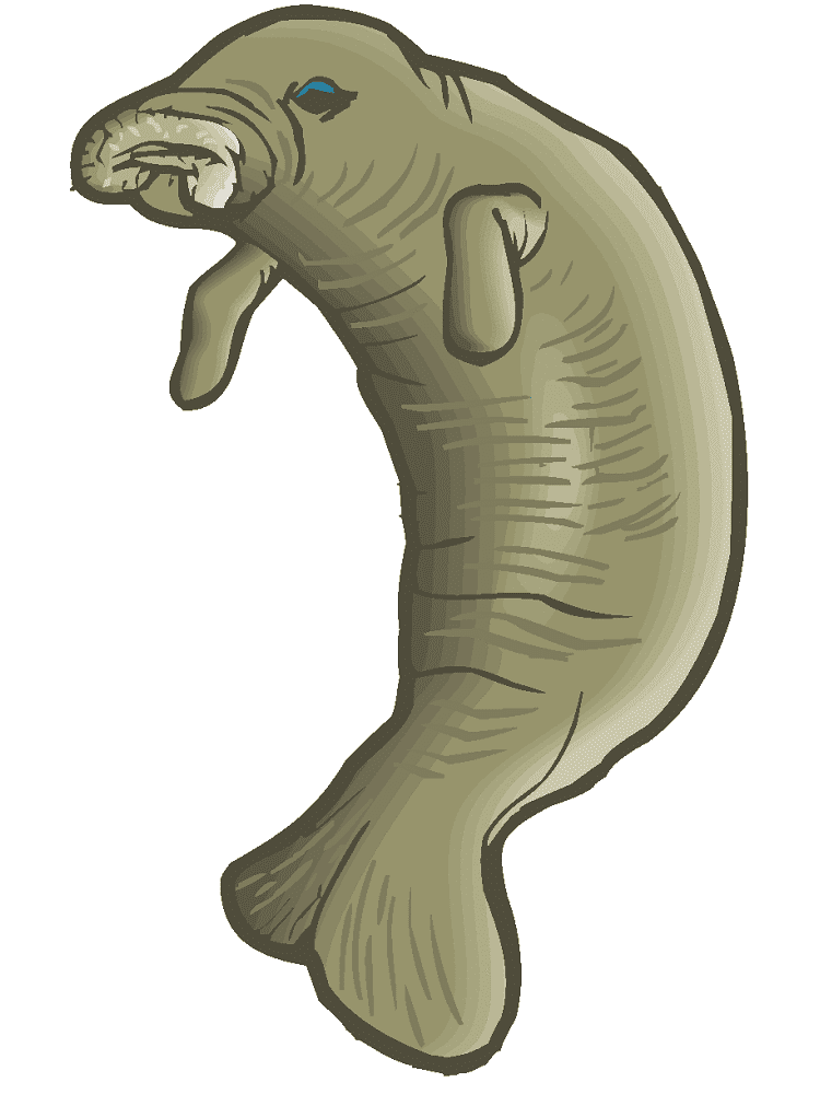 Manatee Clipart For Free