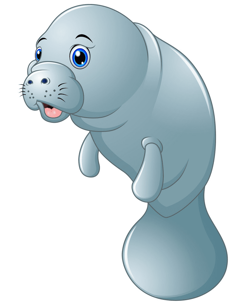 Manatee Clipart Free Images