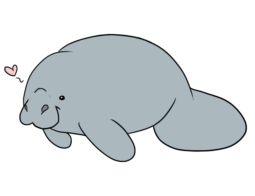 Manatee Clipart Png Free