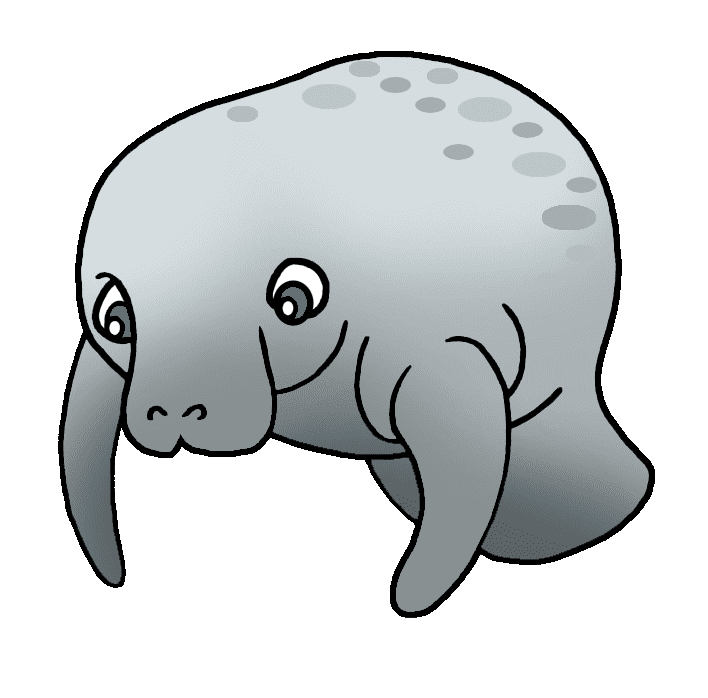 Manatee Clipart Png Image